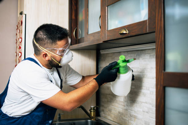 Best Pest Removal Services  in Rossville, GA