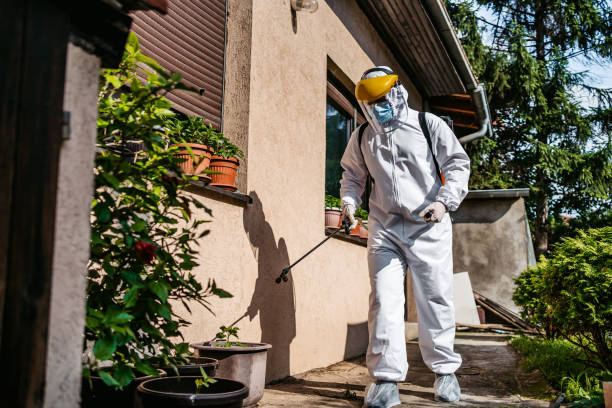 Best Local Pest Control Services  in Rossville, GA