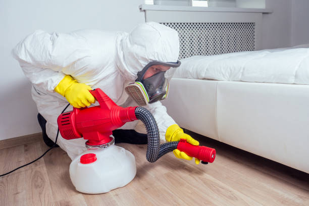 Best Residential Pest Control  in Rossville, GA