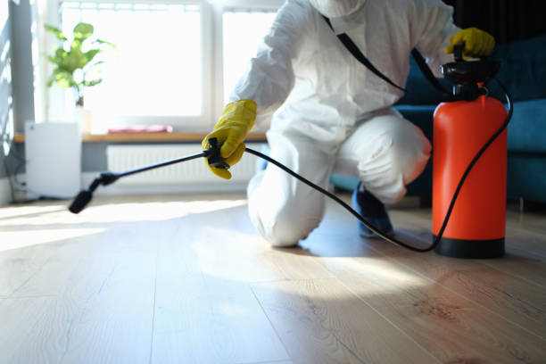 Best Flea Control Services  in Rossville, GA