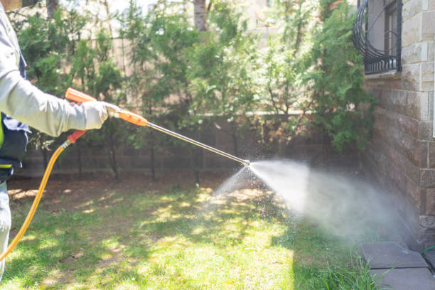 Best Termite Control Services  in Rossville, GA