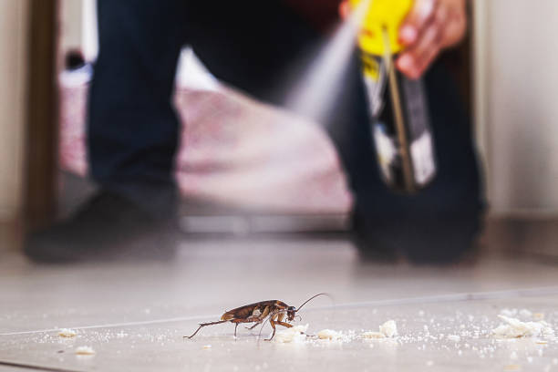 Best Pest Inspection Near Me  in Rossville, GA